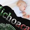 Michoacan Morelia Mexican colt flag Mexico Throw Blanket bed plaid Single funny gift Extra Large Throw Blankets