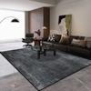 Modern Grey Large Carpet Easy Clean Soft Washable Luxury Rugs for Living Room Bedroom Home Decoration Floor Mat