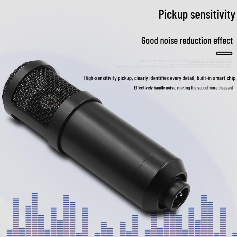 BM800 USB Microphone & Sound Card Set for Podcast Recording & Live Broadcasts