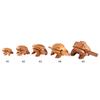 Lucky Frog Thailand Traditional Craft Wooden Lucky Frog Croaking Musical Instrument Home Office Decor Thailand Frog Wood Frog