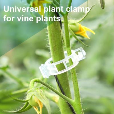 100/200/300/400/500Pcs Garden Plant Support Clips Grape Tomato Ties Vegetable Vine Stem Fixing Clip Flower Squash Vine Upright Climbing Trellis Clip