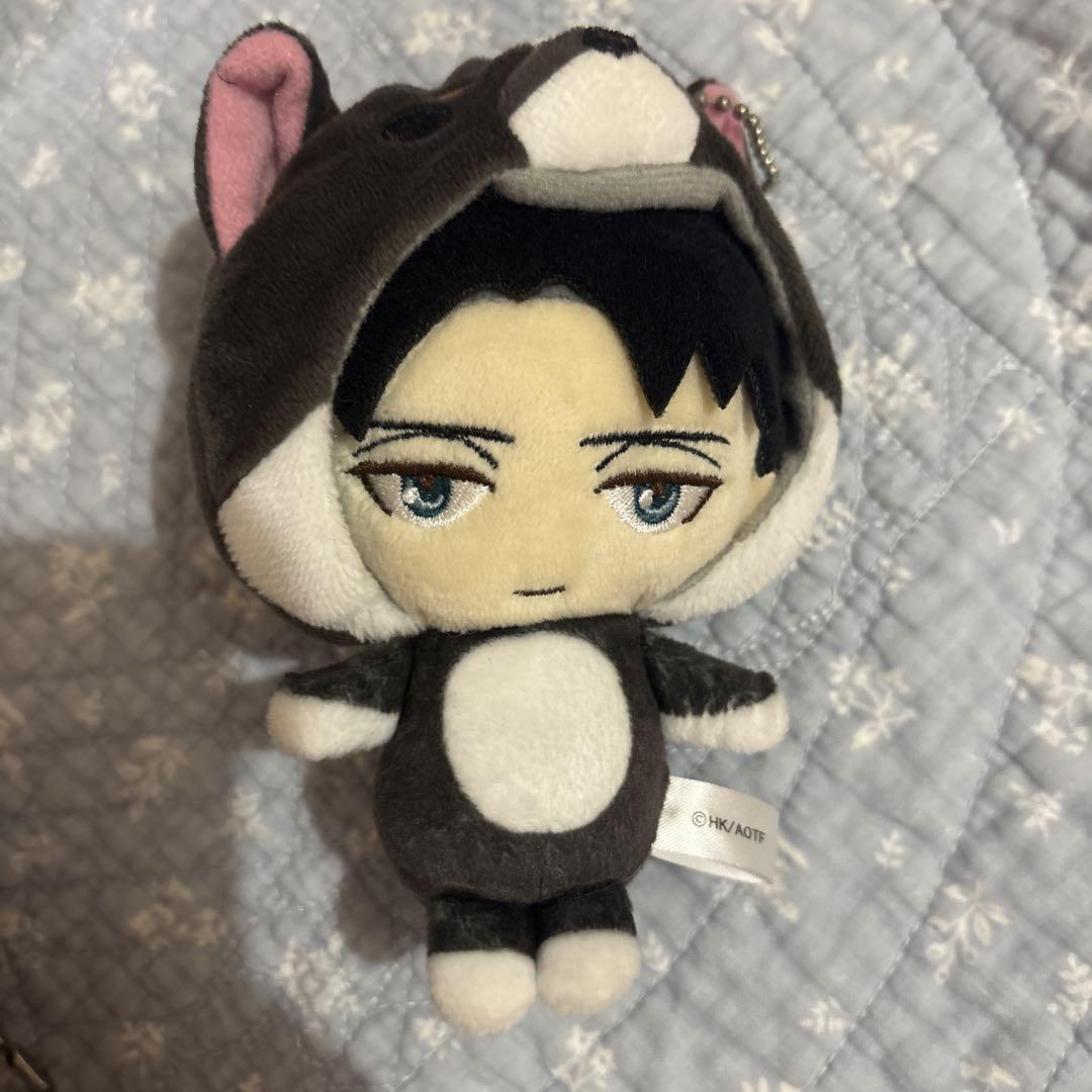 

[USED] Attack on Titan Levi Animalkko Birthday