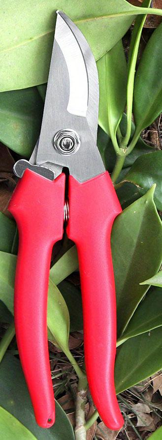 

Elbow Head Garden Pruner Precise Branch Stem Pruning Orchard Fruit Picking Courtyard Practical Tool красный