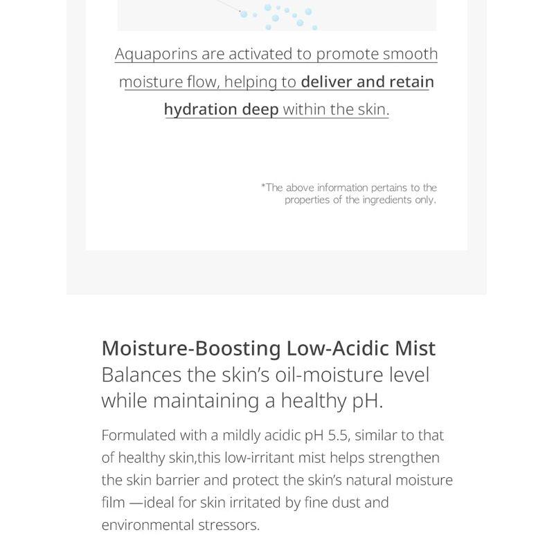 LAGOM Cellus Tonik w mgiełce