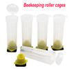 20/50/100 Pcs Beekeeping Rearing Cup Kit Queen Bee Hair Roller Cages Plastic Bee Cell Cups Beekeeper Tools Equipment Set