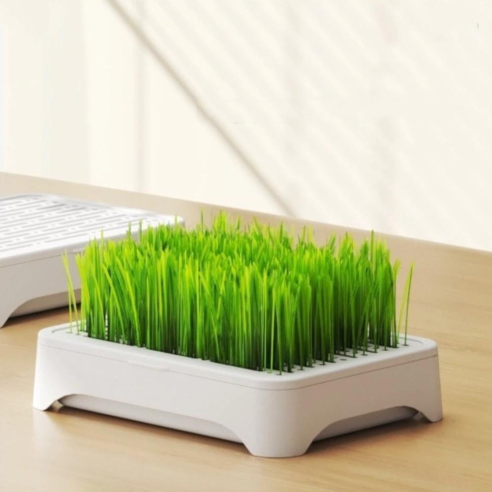 Anti-Pull Out Cat Grass Planter Plastic Wheat Seedling Pot Easy Grow Sprout Tray  Indoor Growing