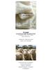 2025 Puyuan Autumn/Winter Wool Cable Knit Stand Collar Zip-Up Sweater for Women - Soft Texture