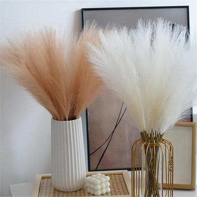 10 ADET Yapay Pompous Grass Pompass Dalları Sahte Tüylü Saplı Bitkiler Vazo Dolgusu Ev Boho Dekor Çiçek Düzenlemesi için