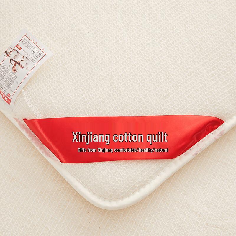AilanhuiJia AQ Pure Xinjiang Cotton Quilt Insert