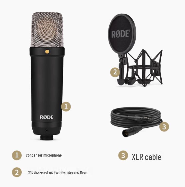 

In Stock: NT1 Signature Series Large Diaphragm Condenser Microphone for Live Streaming
