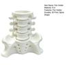 Realistic Pelvis Base Simulated Spine Pen Holder, Creative Skeleton Desktop Organizer, Durable Anatomical Desk Decor PLA 3D Printed Anatomy