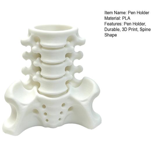 Realistic Pelvis Base Simulated Spine Pen Holder, Creative Skeleton Desktop Organizer, Durable Anatomical Desk Decor PLA 3D Printed Anatomy