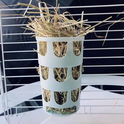 Portable Rabbit Hay Feeder Stand for Small Pets