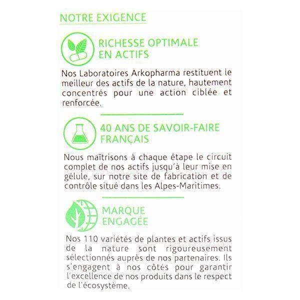 Arkopharma Arkogélules Charbon Végétal Activé Bio 80 Gélules