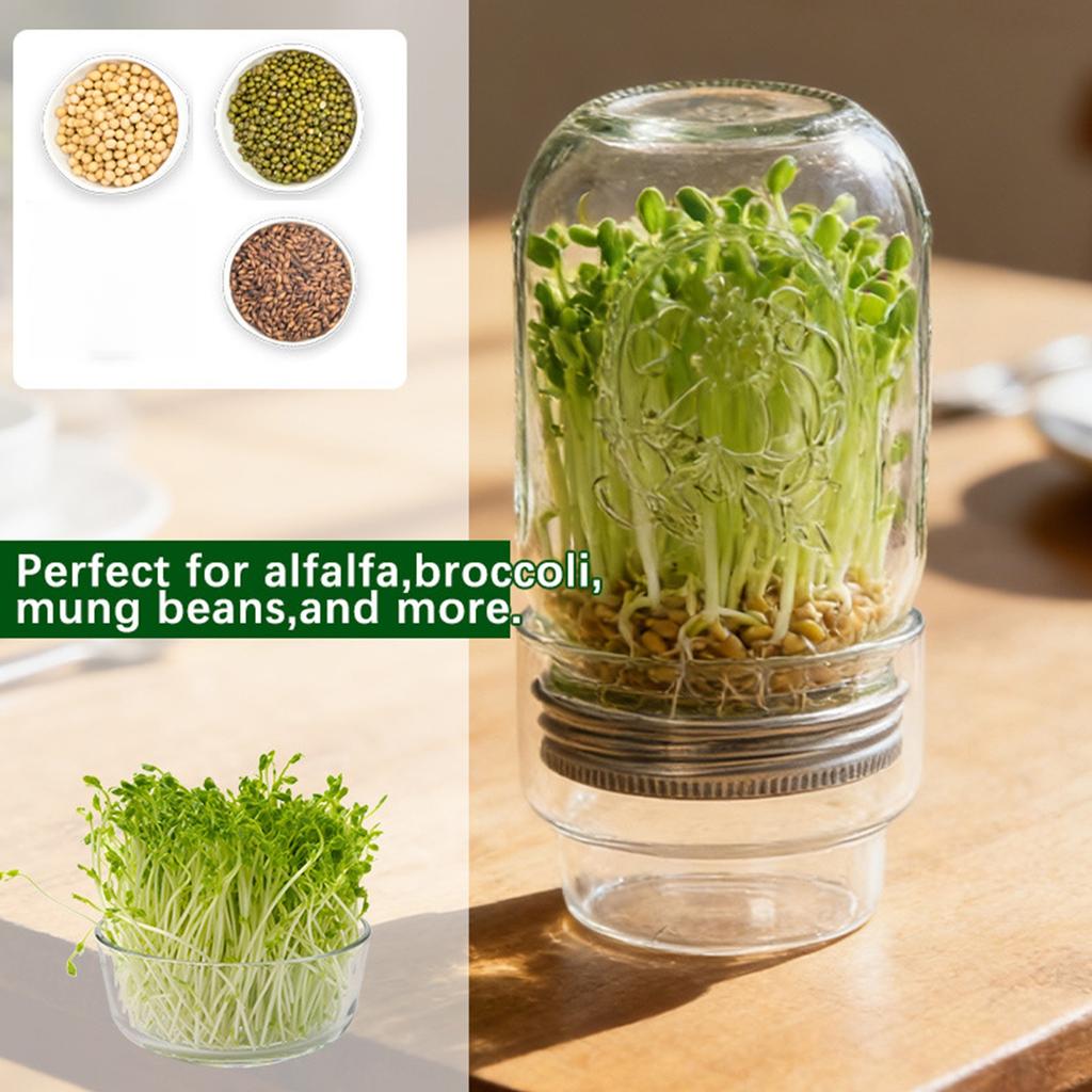 Clear Wide Mouth Glass Sprouter Container Set With Lid For Fast Seedling Germination Vegetable Cultivation Accessories