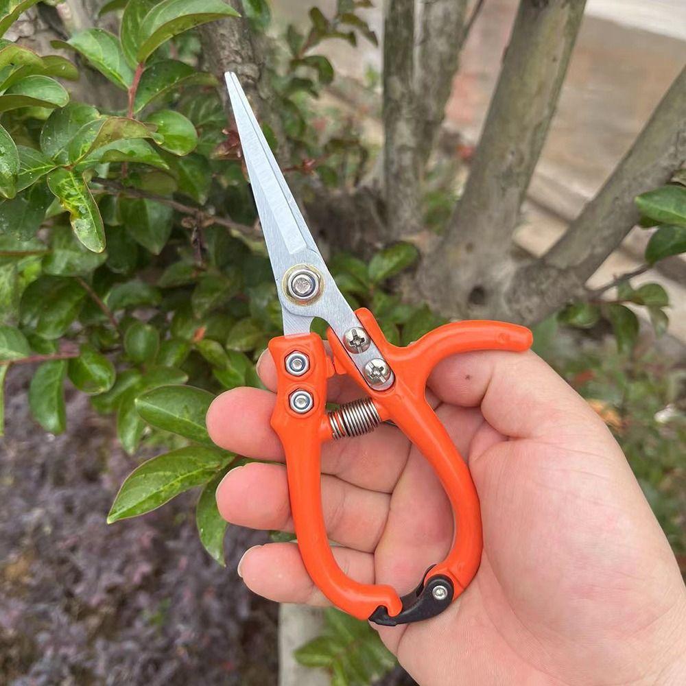 with Safety Buckle Fruit Picking Scissors manual Pruning Shear Branch Pruning Scissors  home