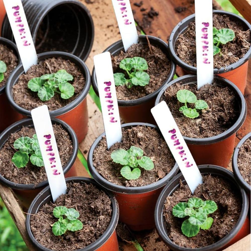 100 Pcs 4Inch Plant Nursery Pots With Drainage Holes (With 100 Plant Labels)