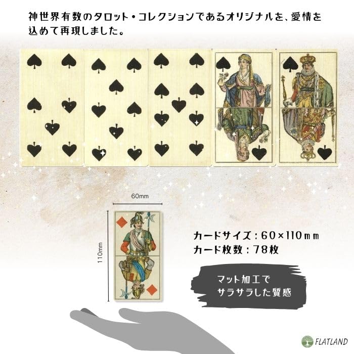 Steinberger Tarot, Tarot Reading Instructions, Japanese Instruction Manual Included, Authentic Tarot, 78 Cards