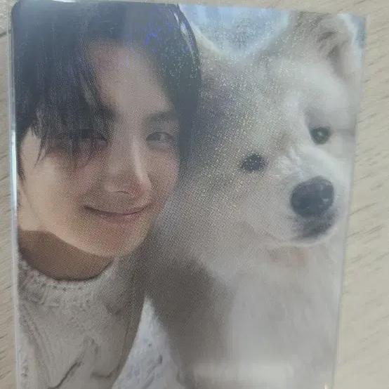 

Tours Gifted Last Bell Weavers Japan Photocard