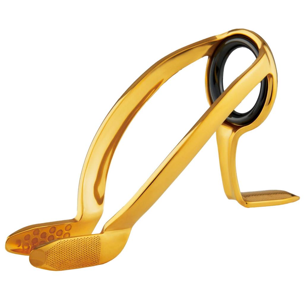 Fuji RB Binding Stainless Steel SiC IP Gold 1 IGRBSG Guide, Frame, Ring, (Header, Piece) 20-16C