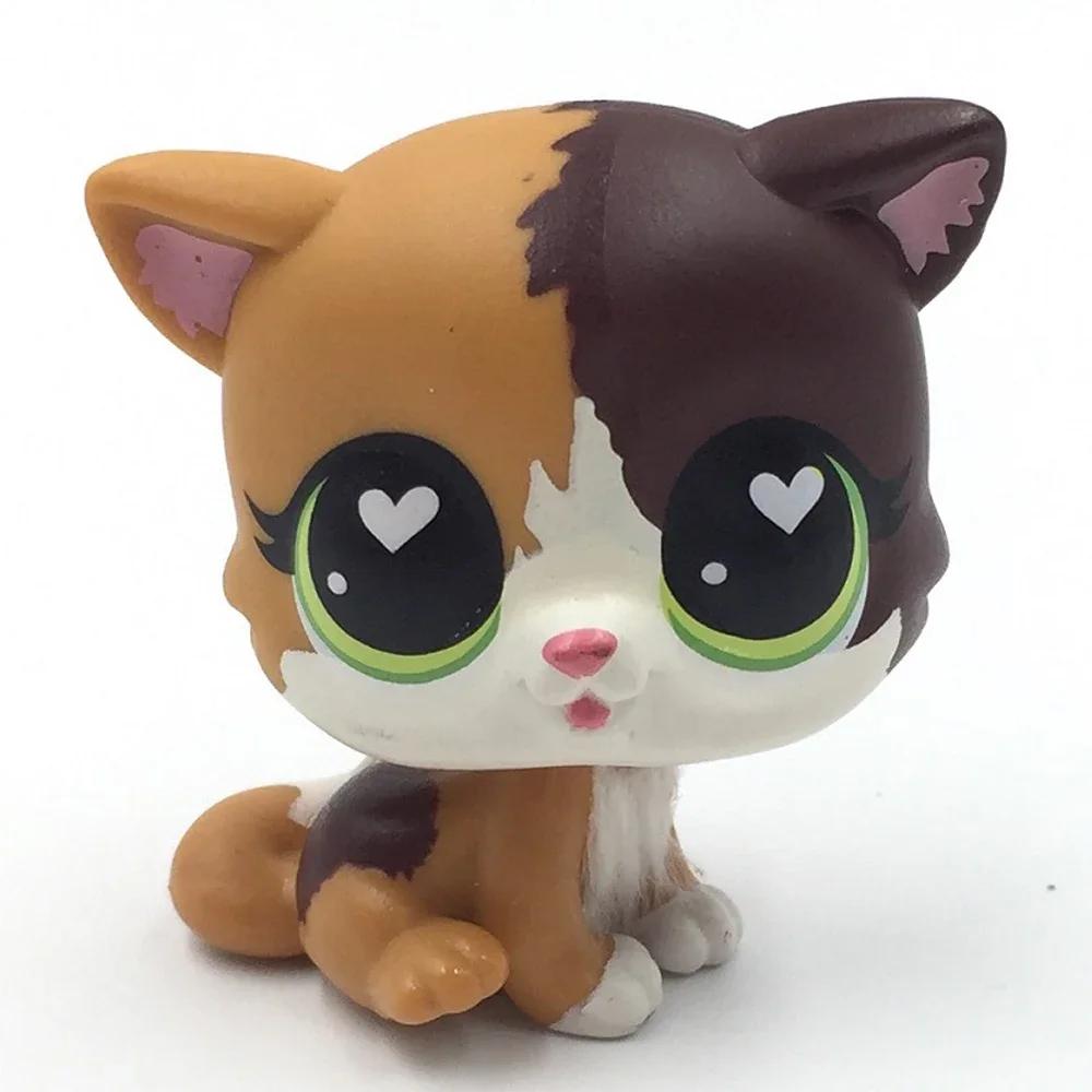 Rare Littlest Pet Shop Lps Toy Toy Mini Stands Short Hair Kitten Old Figures Collection Al Bobble Head Toy