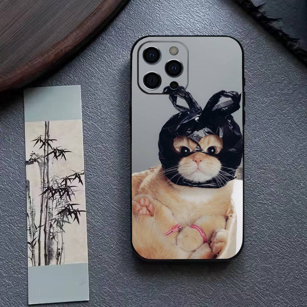 Funny C-Cute Cat Phone Case For iPhone 17, 16,15,14,13,12,11 Plus,Pro Max, Others Soft Black Cover