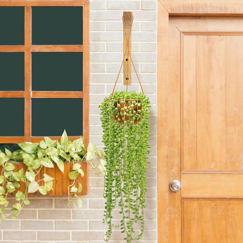 Minimalist Natural Wood Wall Plant Hanger Heavy Duty Hanging Flower Pot Hook for Modern Home Office Wall Decor
