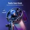 Fifine A6 Radiance RGB Microphone for PC, Phone, Recording, Gaming, Dubbing & Live Streaming