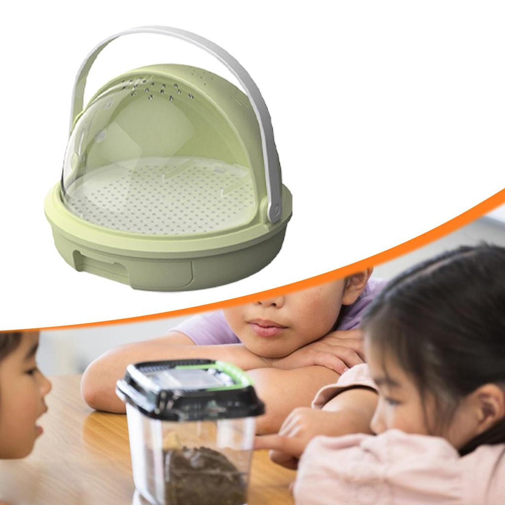 Silkworm Breeding Box Transport Container Multifunctional Easy Clean Sturdy Learning Container Observation Cabin Feeding Box
