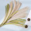 Fake Reed Grass Long-lasting Fade-resistant Realistic Artificial Pampas Grass for Home Wedding