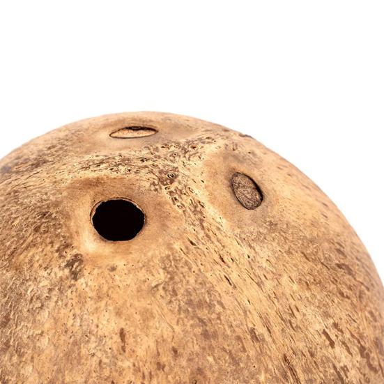 Yousheng Hamster House Bite-resistant Natural Coconut Shell Guinea-pig Hamster Hideout House Toy Pet