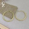 Minimalist Frosted Hoop Earrings - 925 Silver, High-End Design, Niche Style