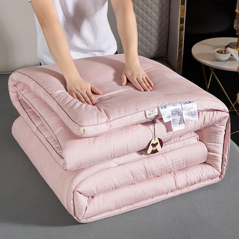 Brangdy Thickened Soy Fiber Winter Duvet