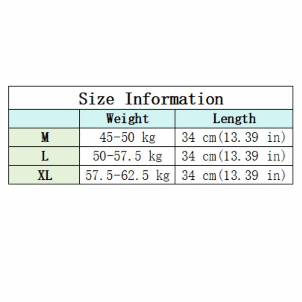 High Waist Lace Underskirt Slips Sweet Transparent Safety Skirt Petticoat Short Embroidery Flower Lining Petticoat Women