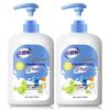 Old Housekeeper Antibacterial Hand Wash Set