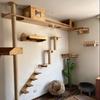Cat Climbing Frame Wooden Cat Tree Cats Hammock Scratching Post Pedal Jumping Platform Indoor Pet Wall Furniture