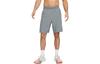 Casual Shorts Men's Smoke Gray Moderate DQ4800-084