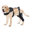 Reduces Pain Hind Leg Dog Leg Brace Auxiliary Belt Dog Leg Protectors Dog ACL Brace Support Dog Knee Rehabilitation Belt