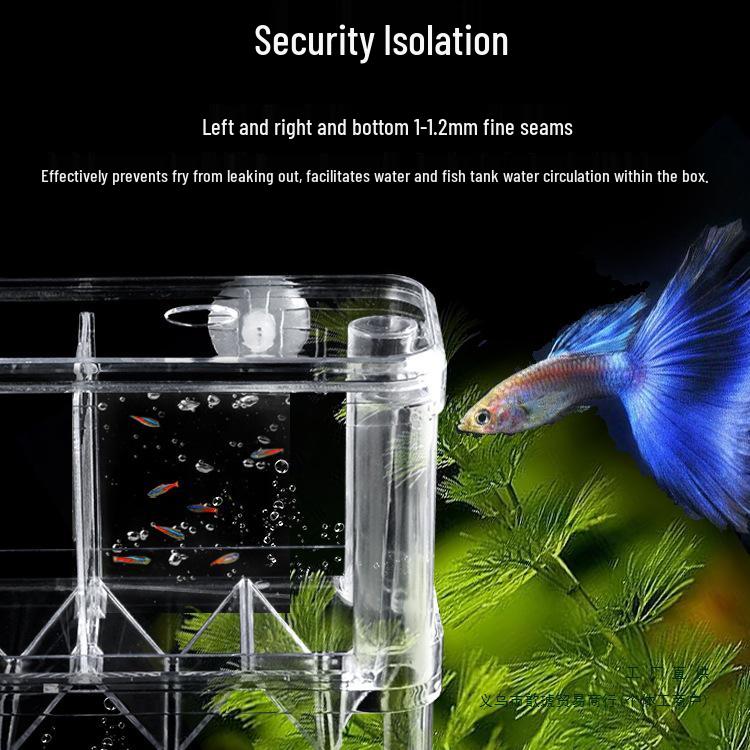 Akryl Flytande Akvarium Isolering & Yngelkasse för Guppy och Yngel
