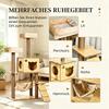 Soft Wood Cat Climbing Tree, Cat Tree, Multi-Level Cat Activity Center (only with cat tree)