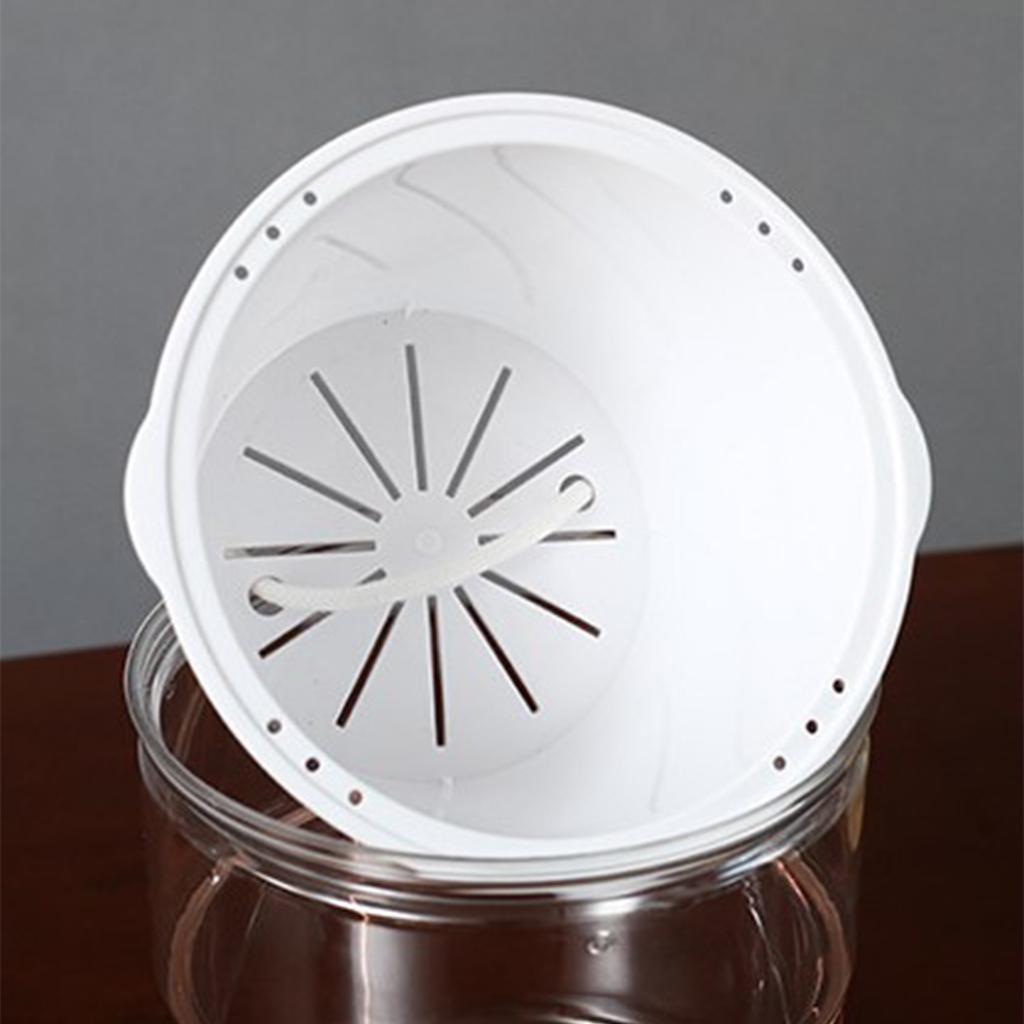 Plastic Planting Box Household Plant Pot Indoor Gardening Tray for Easy Cleaning Germination