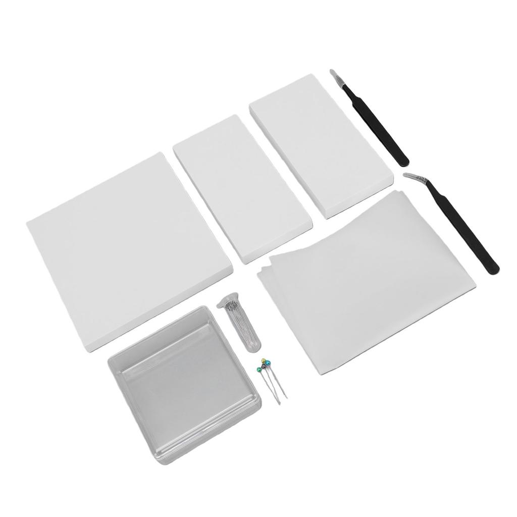 Kit de Herramientas para Espécimen Kit Completo de Herramientas para Hacer Espécimen Suministros para Colección de Entomología con Tablero de Alfileres de Espuma Transparente