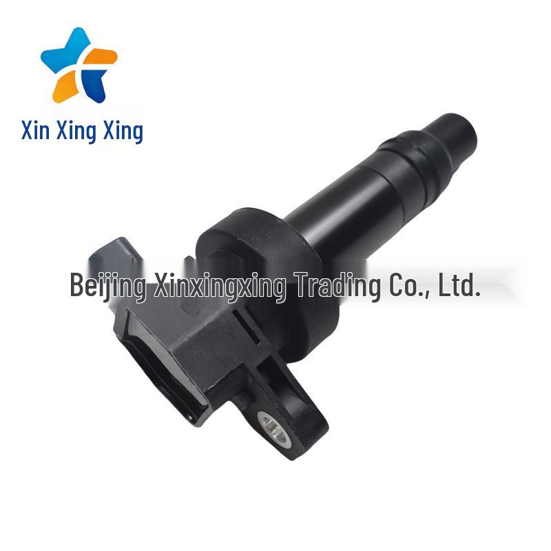 Ignition Coil 273002B010/273002B100 for Hyundai/Kia Vehicles