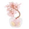 Feng Shui Money Tree Positive Energy Good Fortune Money Tree Decoration for Wealth and Luck Home