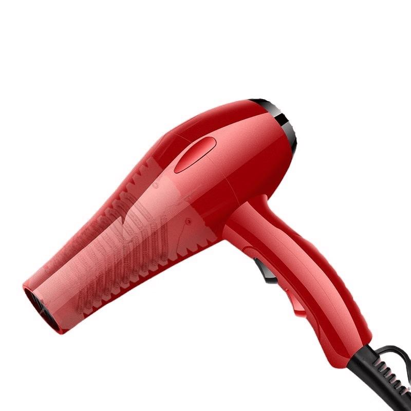 LISM Professional High-Power Negative Ion Hair Dryer