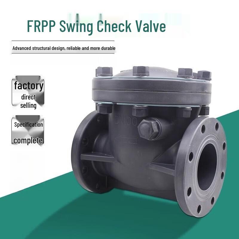 Junlun Industrial Plastic Swing Check Valve CN plug (adapter included)