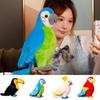 Colorful Parrot Plush Toy Pillow Wholesale Gift With Logo Cartoon Animal Decorative Ornament 25cm 0.2kg