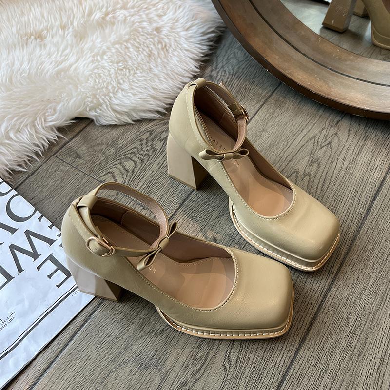 Internet celebrity square head small thick heel high heels women's autumn and winter 2025 new shallow French retro Mary Jane shoes