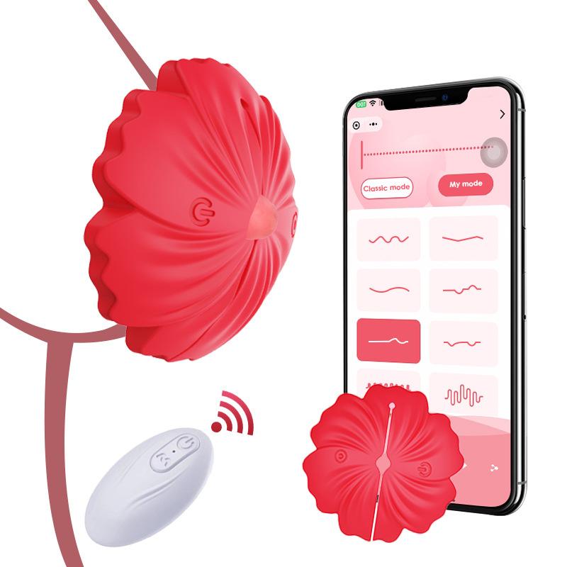 Nipple Vibrator Toy Nipple Clamps BDSM 9 Vibration Modes, Nipple G-Spot Stimulation, Adult Sex Toy Suitable for Women and Couples