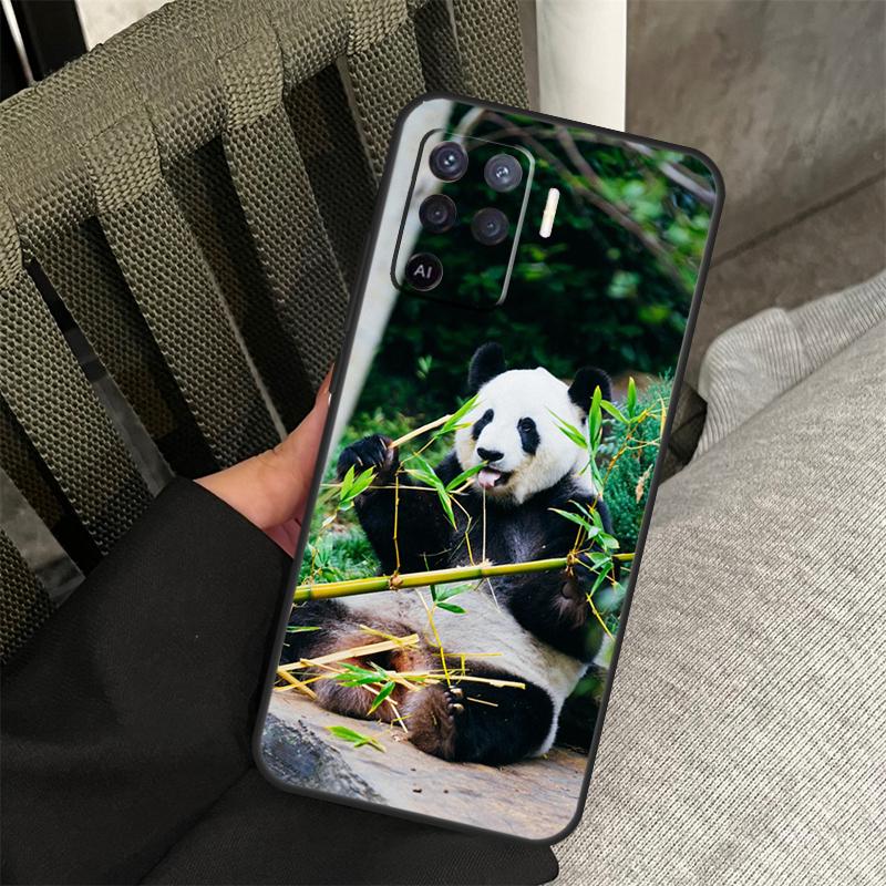 Panda Cute Kawaii Animal Case For Oppo A80 A60 A40 A94 A54 A98 A78 A18 A38 A58 A16 A76 A96 A17 A77 A74 A57S A15 Cover